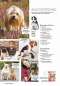 Preview: Hunde-Reporter - Ausgabe 43