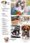 Preview: Hunde-Reporter - Ausgabe 41