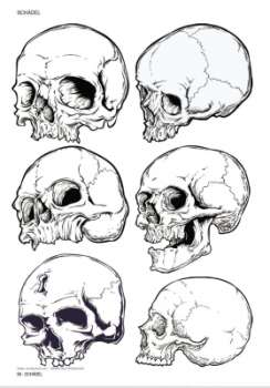 Skulls & Bones - Totenschädel und Knochen