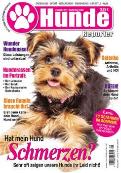 Hunde-Reporter 99