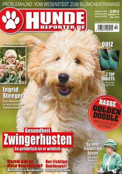 Hunde-Reporter 54