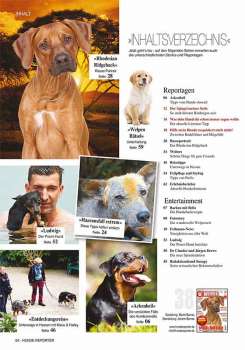 Hunde-Reporter - Ausgabe 38