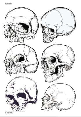 Skulls & Bones - Totenschädel und Knochen