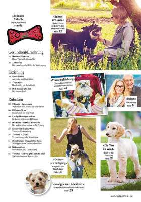 Hunde-Reporter - Ausgabe 38